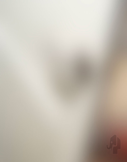 Satijn vlak glas 41 x 70 cm | 020466